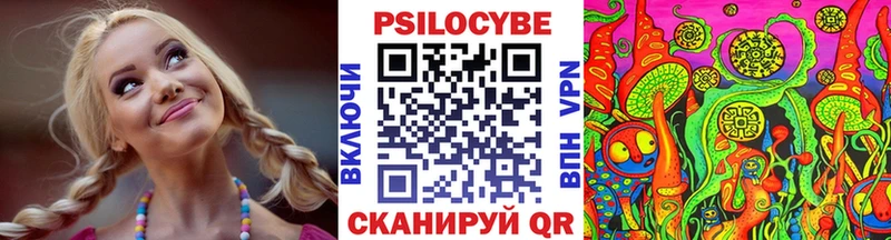 Псилоцибиновые грибы прущие грибы  Терек 